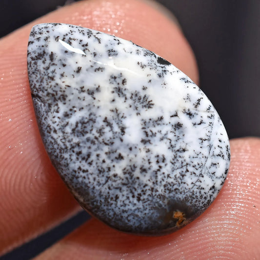 Rare Dendrite Agate Opal Gemstone - Unique Loose Cabochons