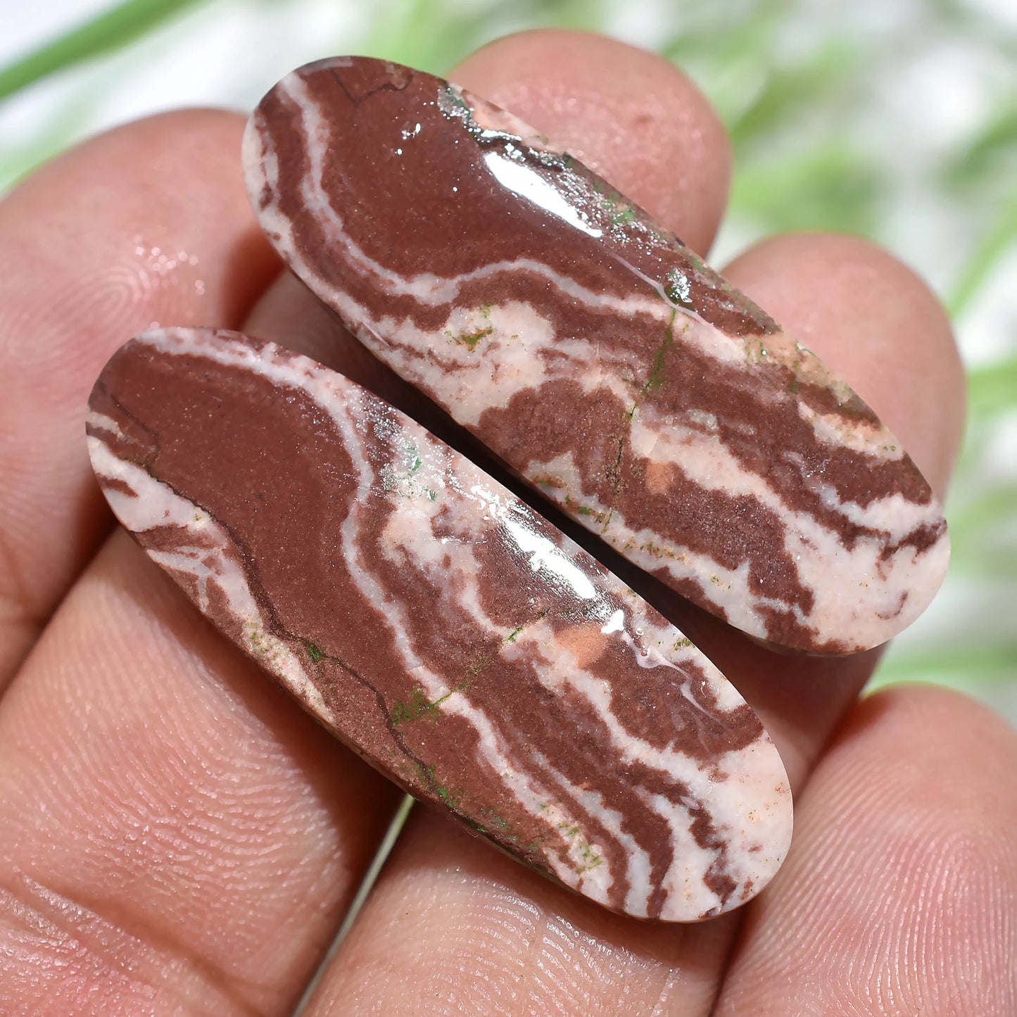 Coconut Jasper Pair Cabochon - Oval & Round Shaped Matching Gemstones