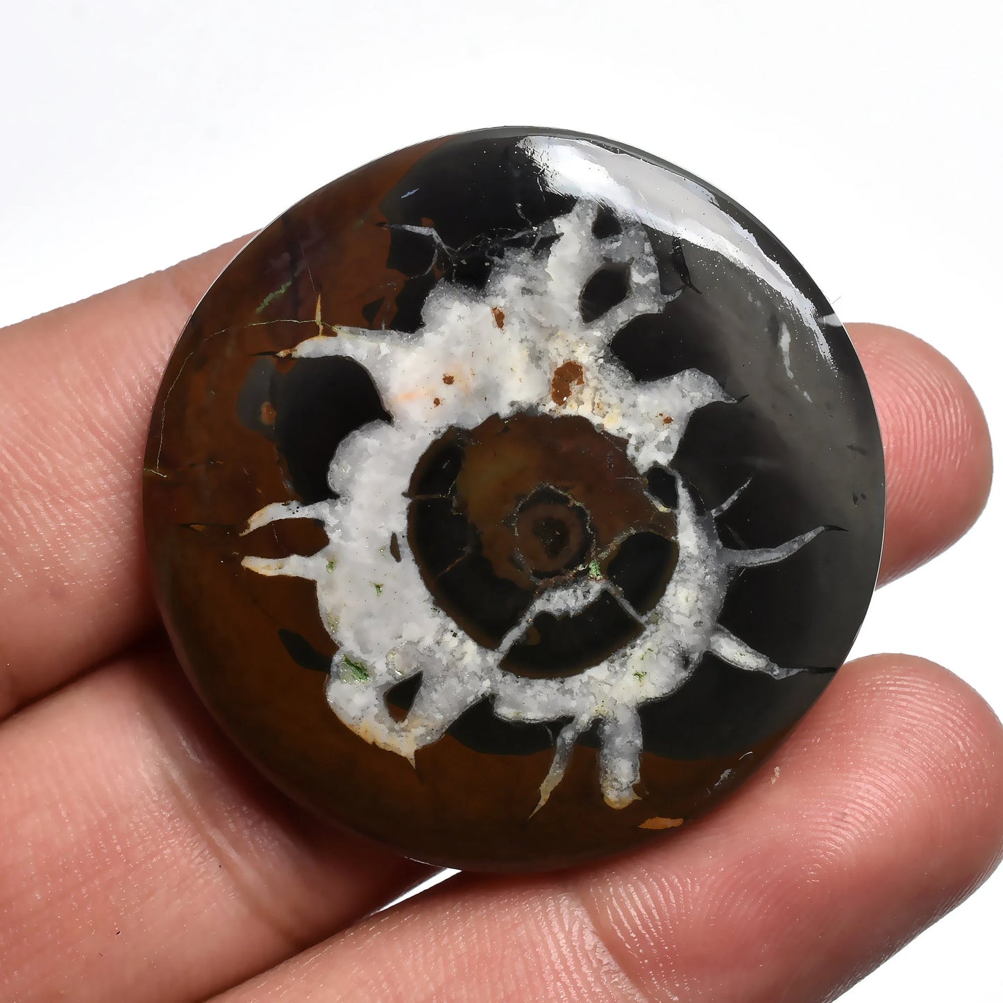 Elegant Black Septarian Stone