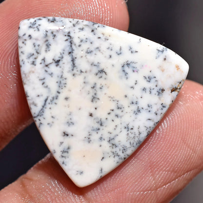 Rare Dendrite Agate Opal Gemstone - Unique Loose Cabochons