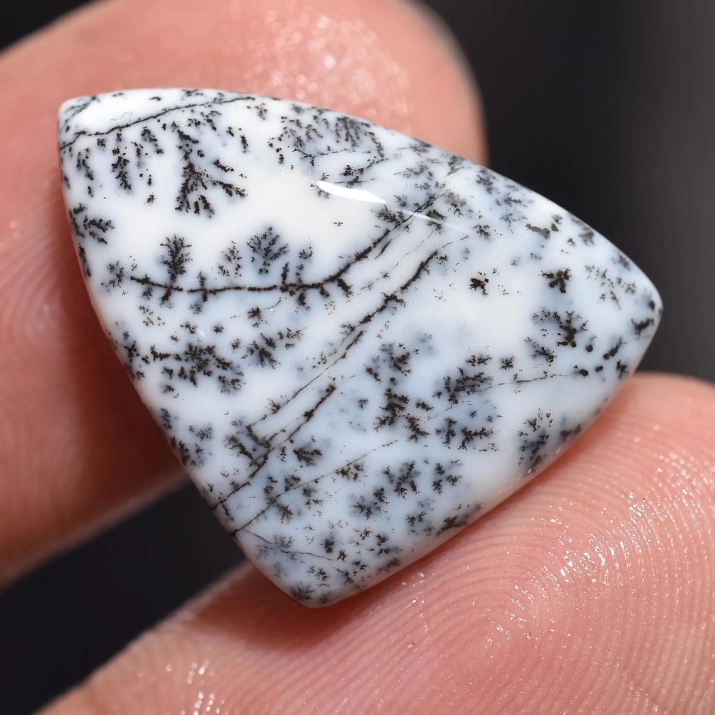 Rare Dendrite Agate Opal Gemstone - Unique Loose Cabochons