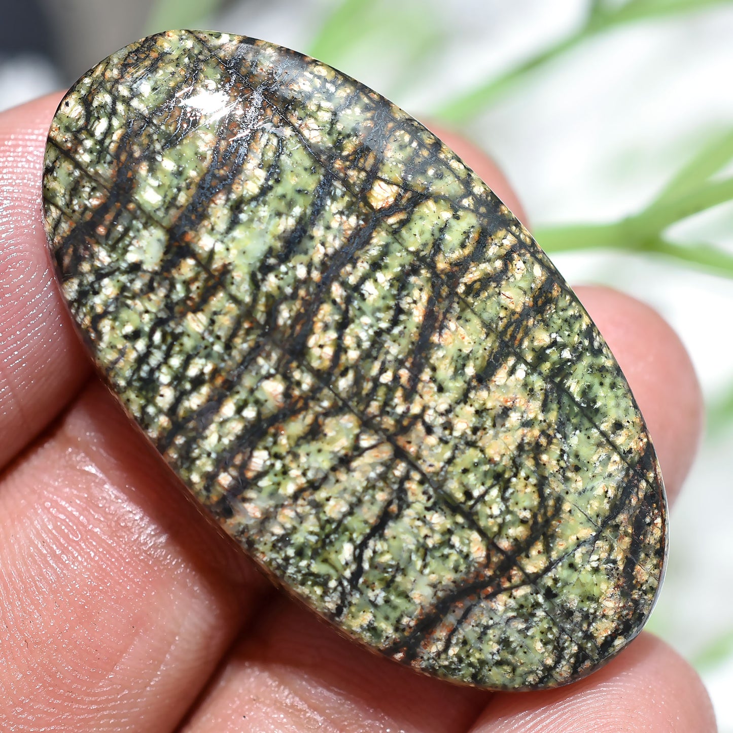 Green Lizard Skin Jasper Cabochon - Loose Gemstone