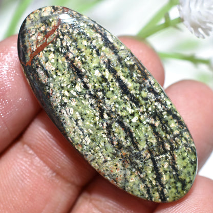 Green Lizard Skin Jasper Cabochon - Loose Gemstone