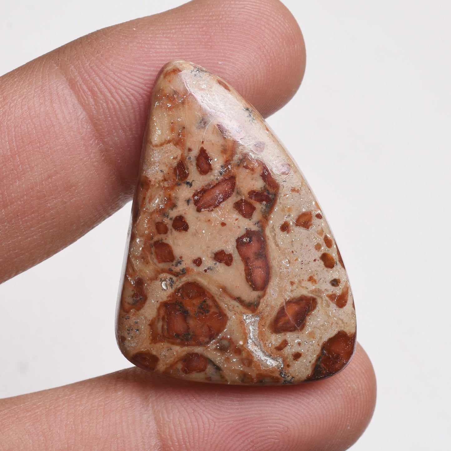 Asteroid Jasper Lot - Wholesale Natural Jasper Gemstones