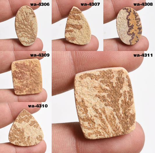 Amazing Psilomelane Dendrite Fossil – Mix Shape Cabochon Stones