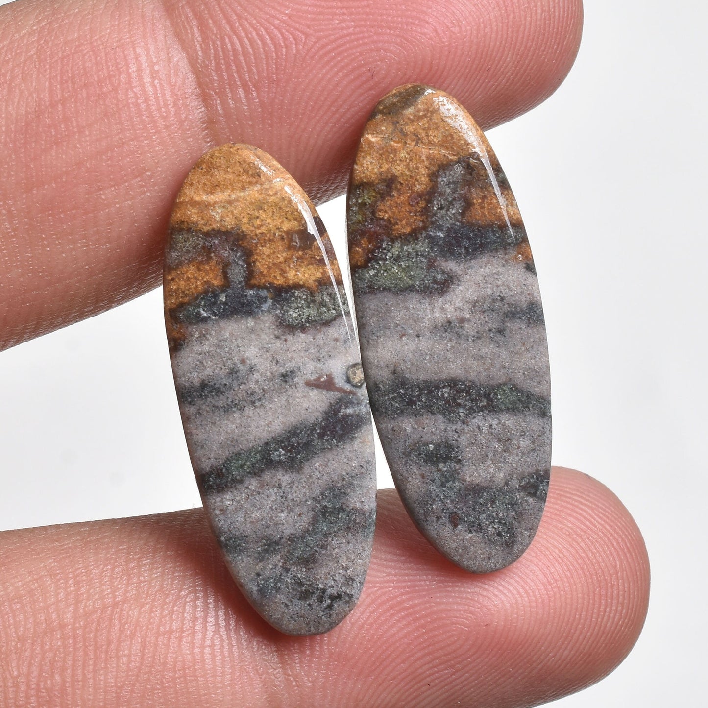 Bloodstone Cabochon Pair - Natural Matching Earring Set for Jewelry Making