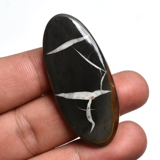 Natural Septarian Slice - Black Dragon Stone Cabochon for Pendants & Jewelry