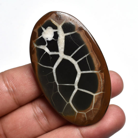 Wholesale Spider Black Septarian Nodule - Smooth Septarian Cabochon for Pendant Making