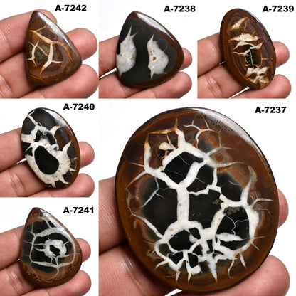 Mix Shape Designer Septarian Cabochon - Dragon Stone Fossil Jasper