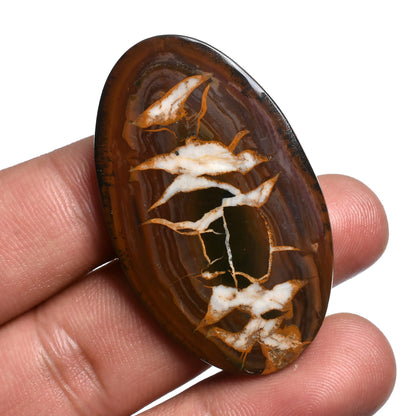 Mix Shape Designer Septarian Cabochon - Dragon Stone Fossil Jasper