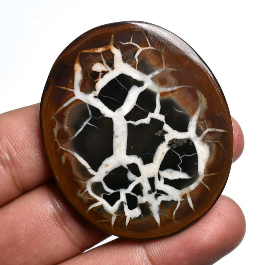 Mix Shape Designer Septarian Cabochon - Dragon Stone Fossil Jasper