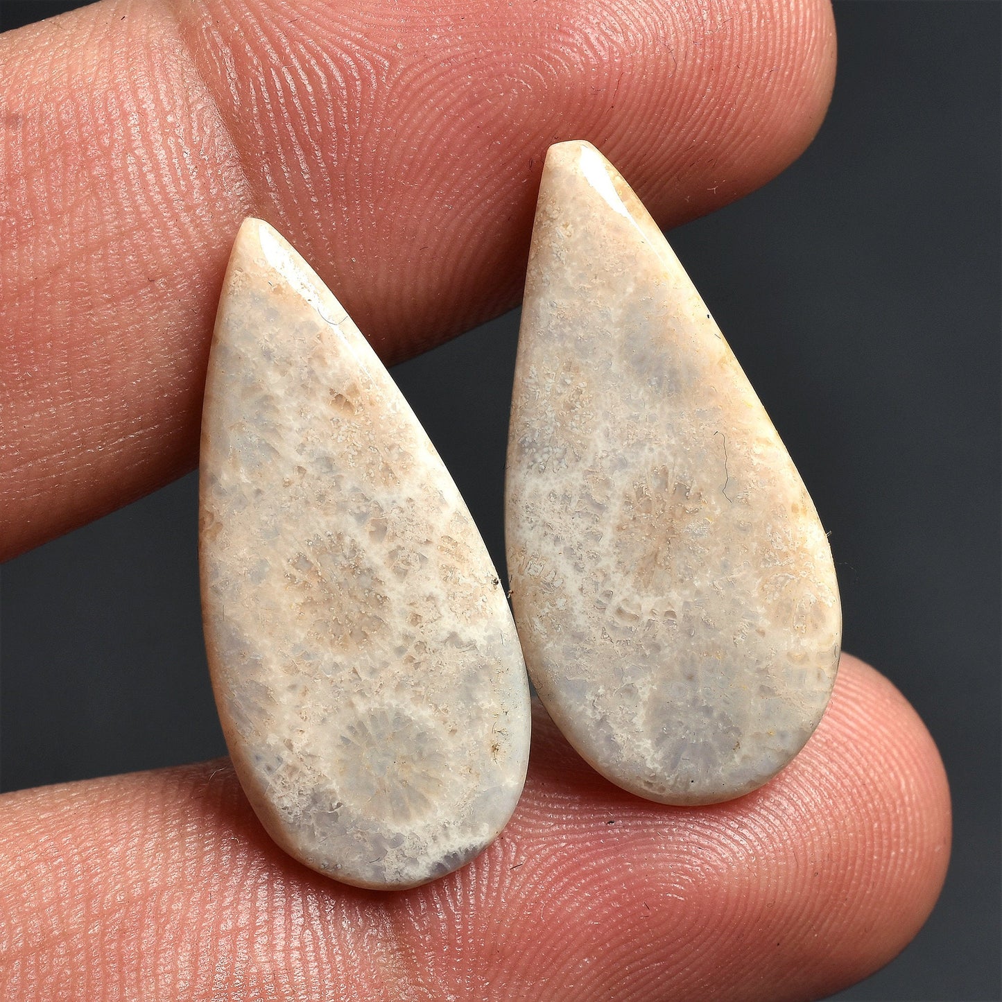 Fossil Coral Gemstone Pairs – Pear-Shaped, Smooth Cabochons for Earrings