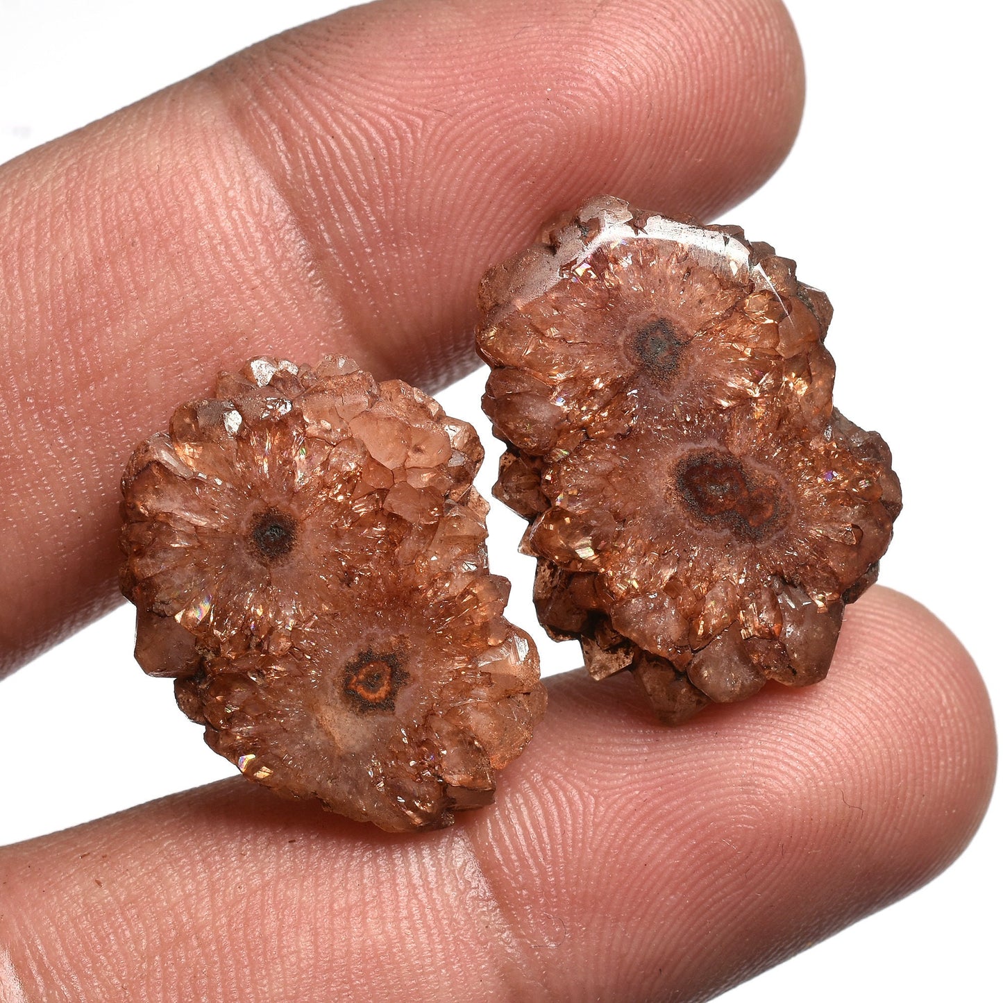 Brown Solar Quartz Pairs – Fancy Shape Stalactite Slice Loose Gemstone Pair