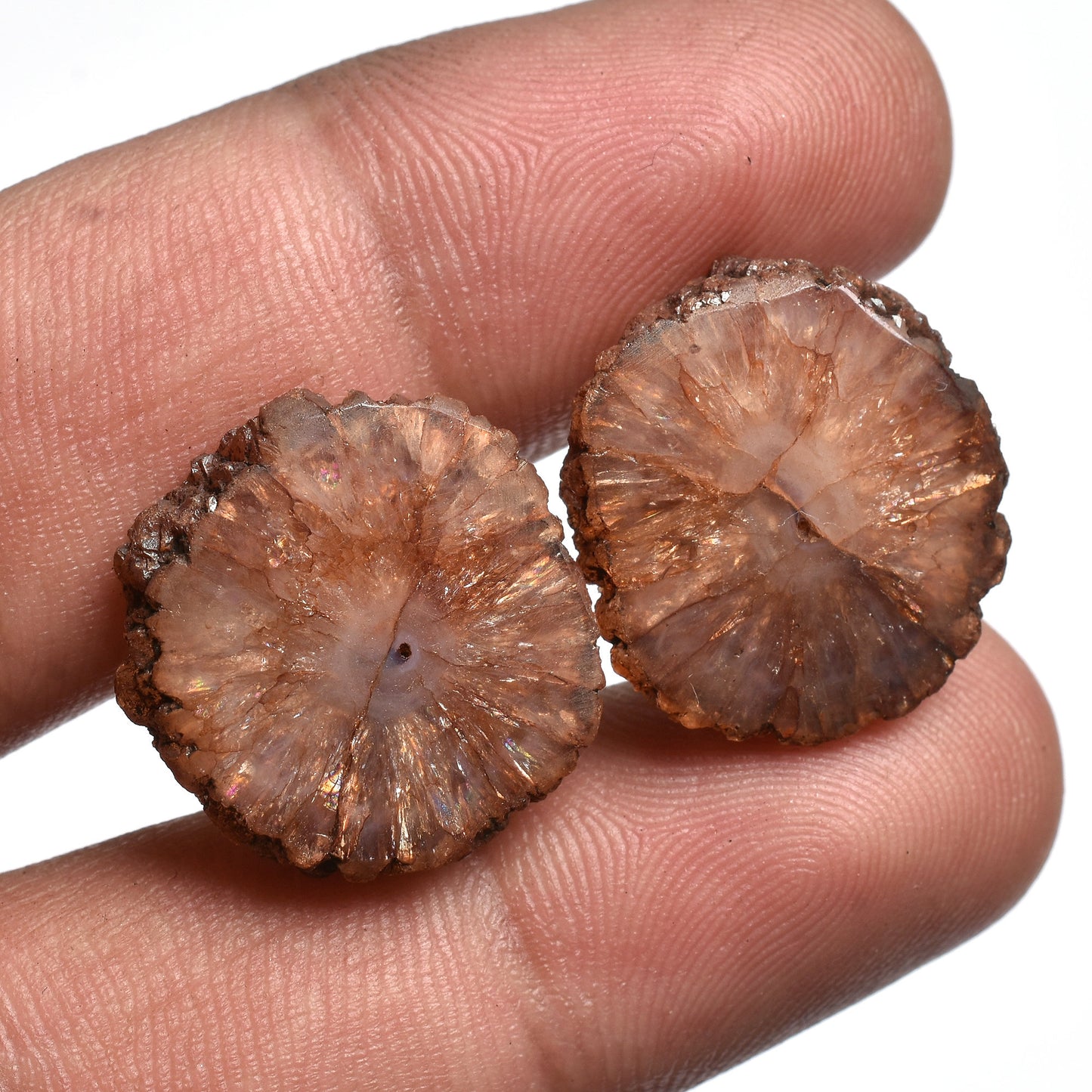 Elegant Brown Solar Quartz Pair - Loose Gemstone Earring Matching Quartz Pair