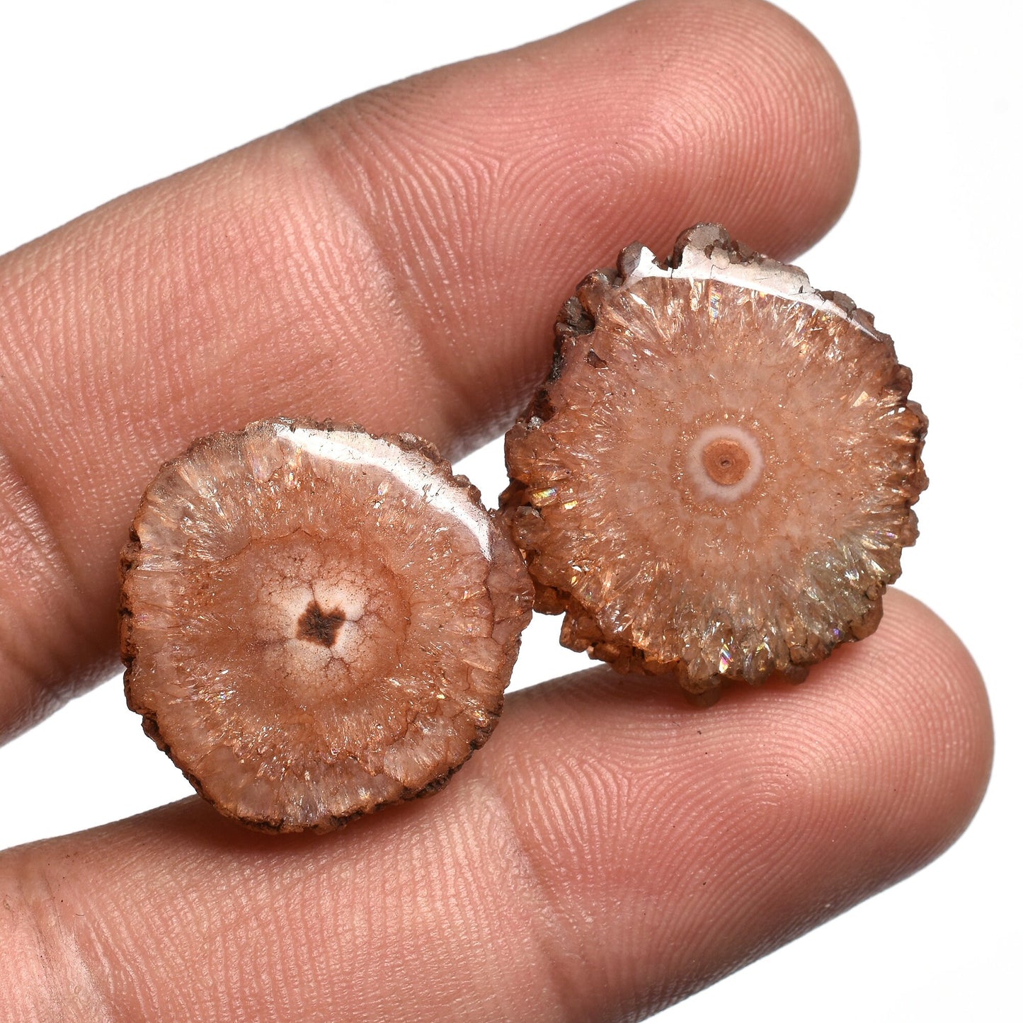 Solar Quartz Earring Pair – Round Shape Brown Stalactite Slice Cabochon Pairs