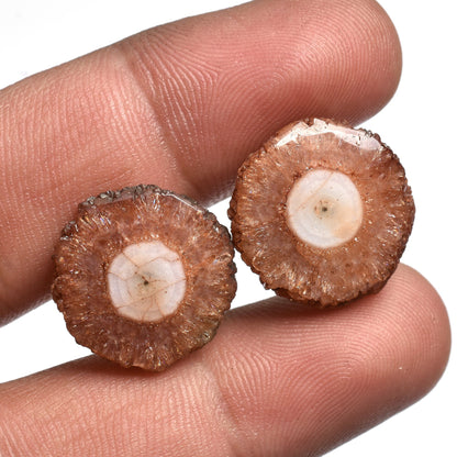 Solar Quartz Earring Pair – Round Shape Brown Stalactite Slice Cabochon Pairs