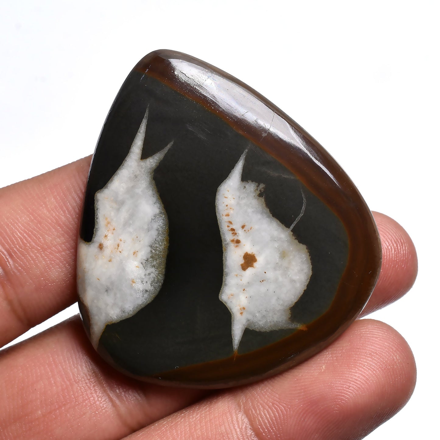 Mix Shape Designer Septarian Cabochon - Dragon Stone Fossil Jasper