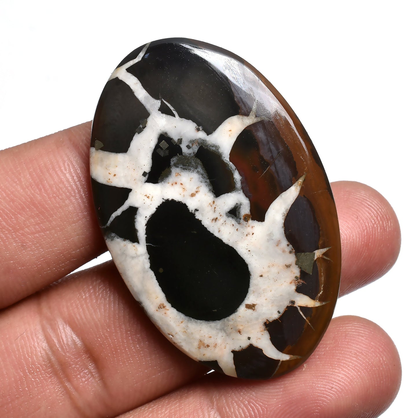 Mix Shape Designer Septarian Cabochon - Dragon Stone Fossil Jasper