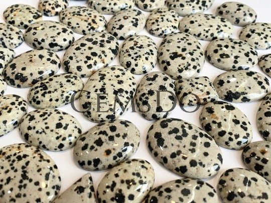 Natural Dalmatian Jasper Cabochon Lot, Wholesale Bulk Flat back Gemstones