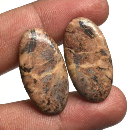 Designer Jasper Stone Pair - Fancy Shape Cabochons for Earrings & Healing Crystals