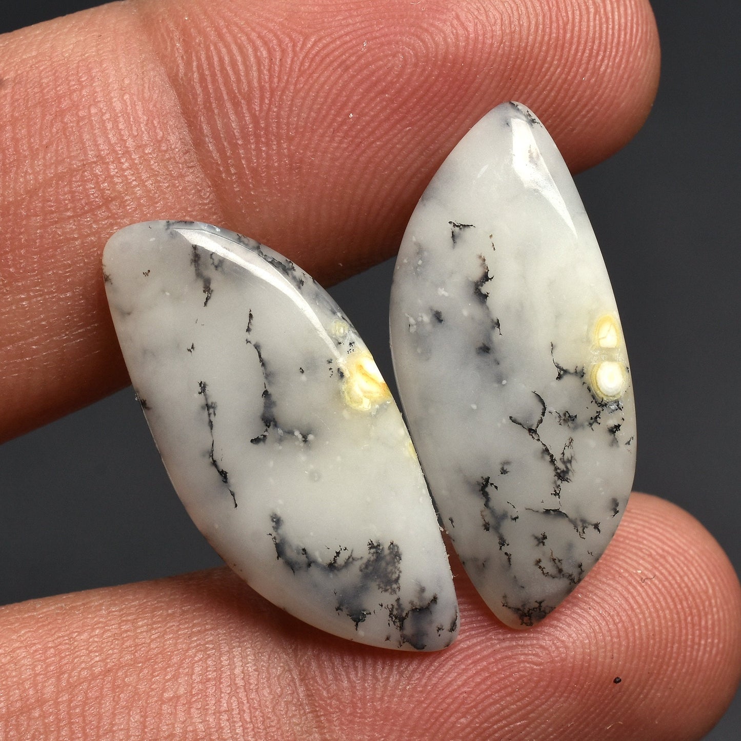 Dendrite Opal Gemstone Pair - Matching Loose Pair for Earrings