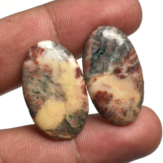 Designer Jasper Stone Pair - Fancy Shape Cabochons for Earrings & Healing Crystals