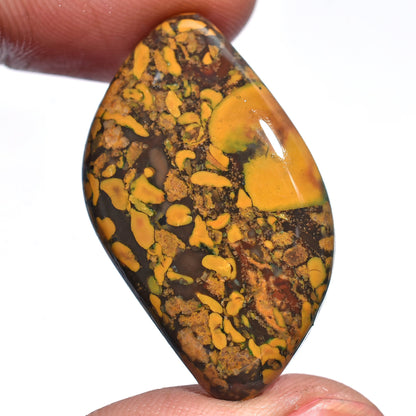 Top Quality Fruit Jasper – Mixed Shape Polished Jasper Loose Cabochons