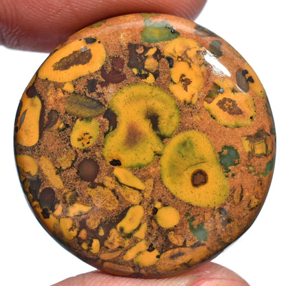 Yellow Fruit Jasper Stone - Wholesale Smooth Polished Cabs for Jewelry Making