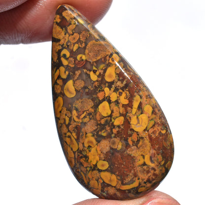 Unique Fruit Jasper Stone – Smooth Polished Cabochons