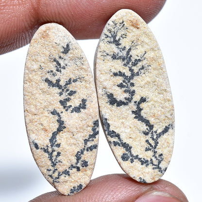 Beautiful Top Quality Psilomelane Dendrite Cabochon Pair, Psilomelane Oval Shape Earring Matching Pair, Wholesale Price Gemstone