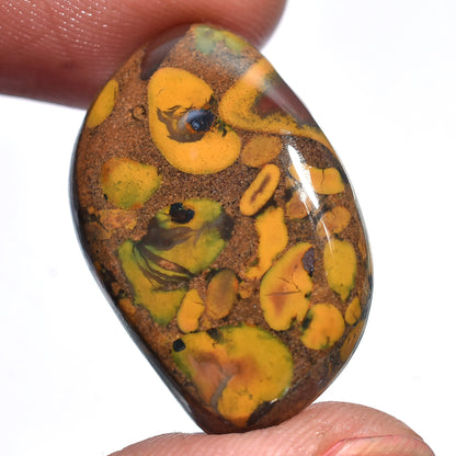 Fruit Jasper Cabochon - Smooth Polished Wholesale Gemstones for Jewelry