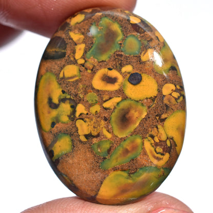 Yellow Fruit Jasper Stone - Wholesale Smooth Polished Cabs for Jewelry Making