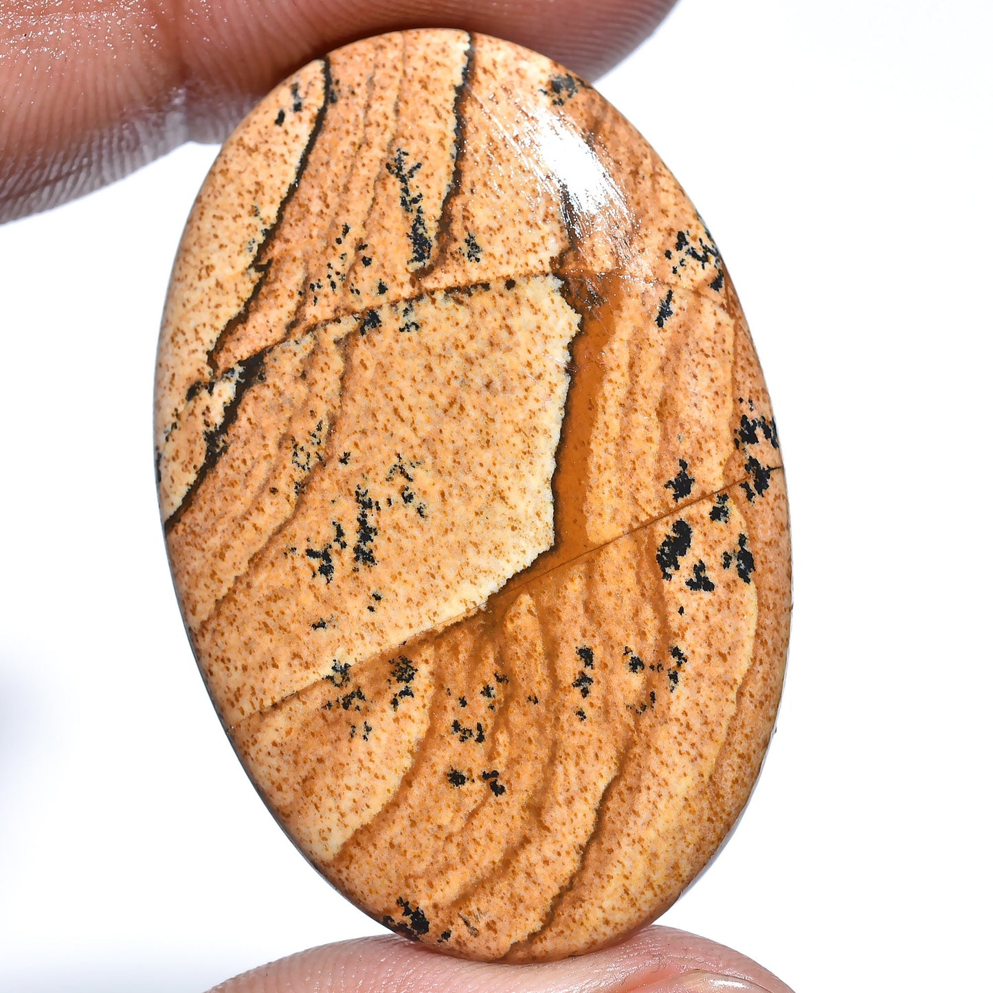 Picture Jasper Cabochon – Oval & Pear-Shaped Brown Jasper