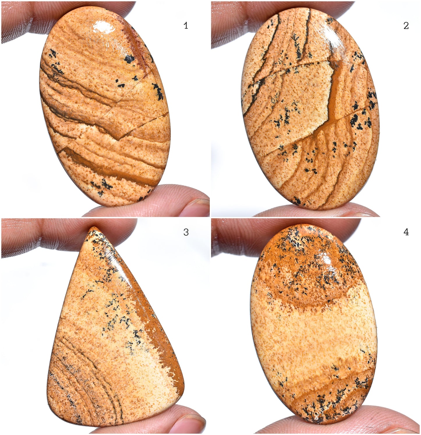 Picture Jasper Cabochon – Oval & Pear-Shaped Brown Jasper