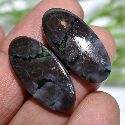 Designer Larvikite Gemstone Pair - Fancy Shaped Polished Cabochon for Earring Making