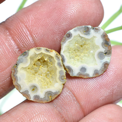 Elegant Yellow Solar Quartz Earring Pair - Sparkling Window Druzy Stones