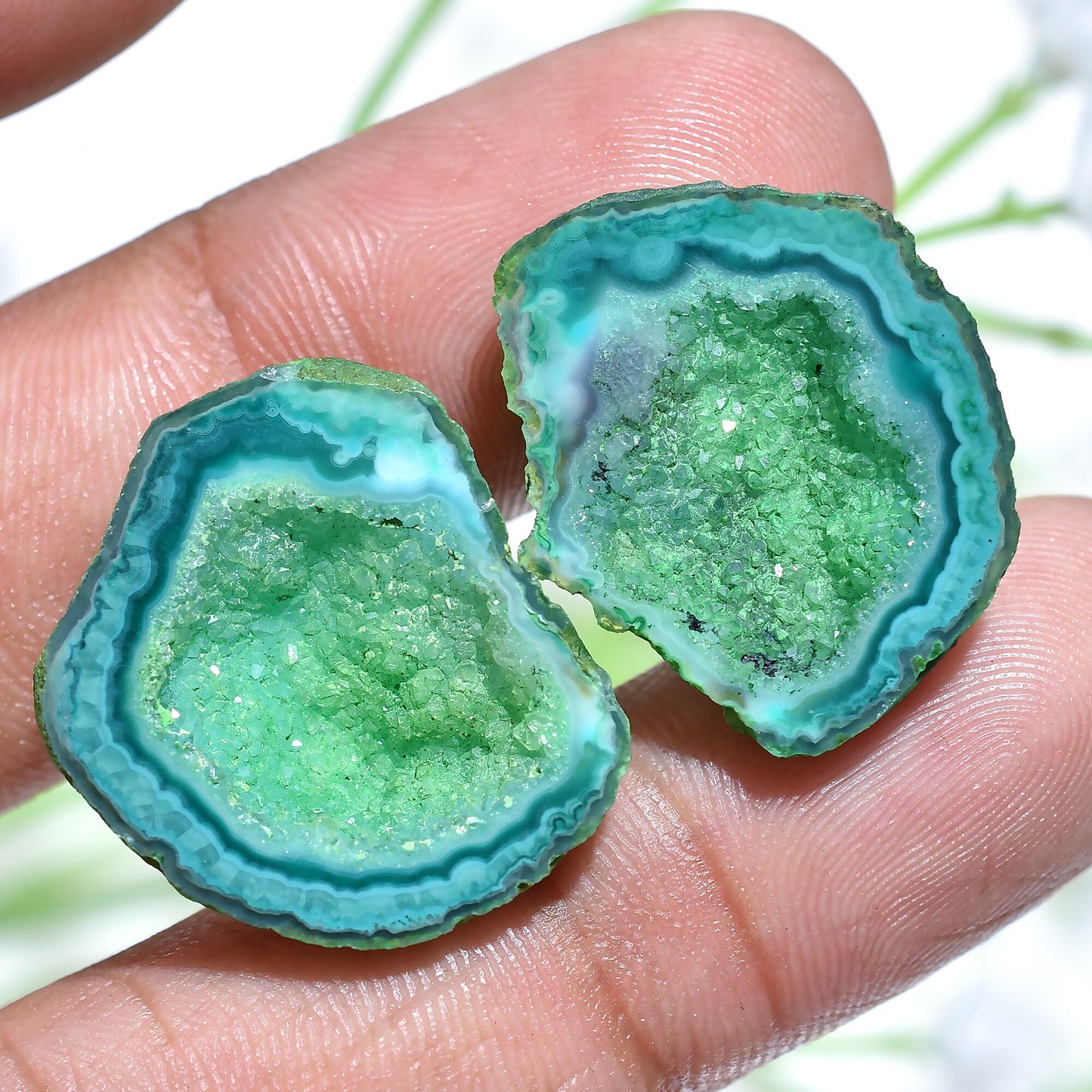 Attractive Fancy Solar Quartz Druzy Pair – Sparkling Green Natural Window Gemstones