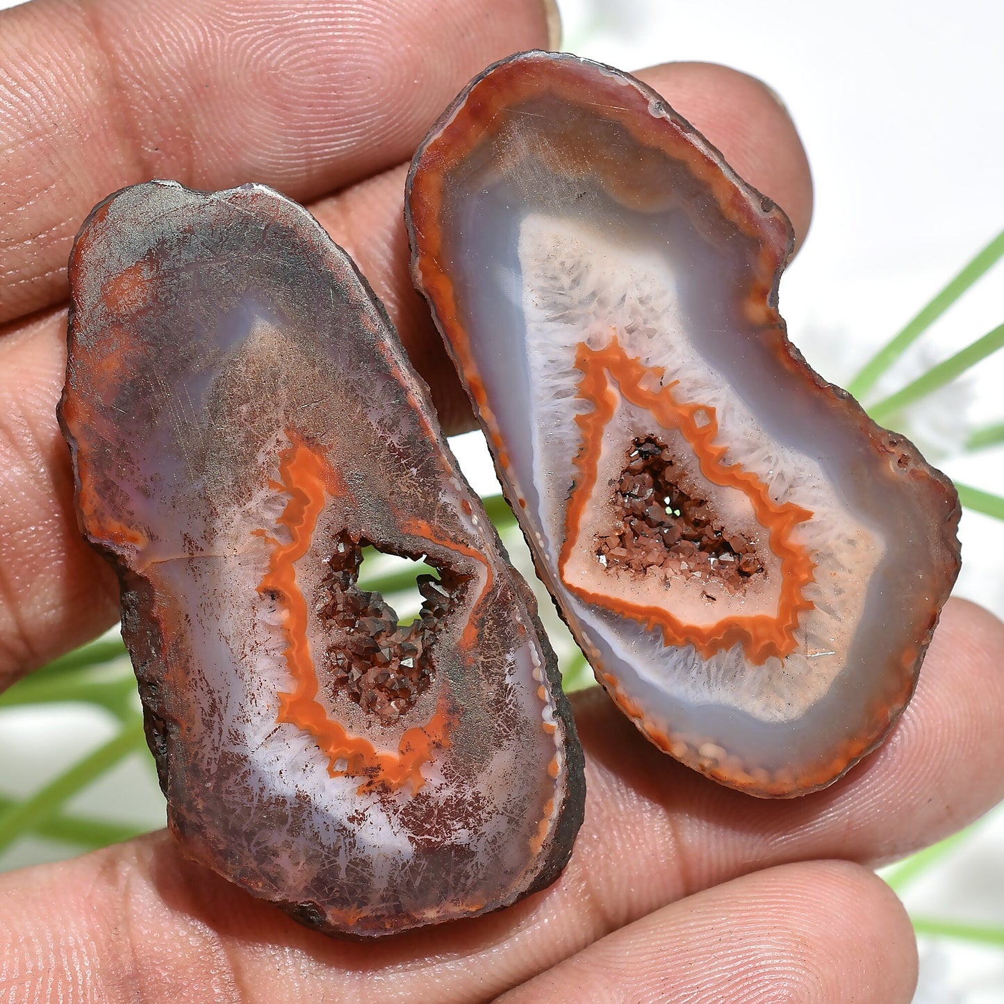 Unique Brown Window Druzy Geode Pair – Fancy Agate Druzy Pair for Handmade Jewelry & Earrings