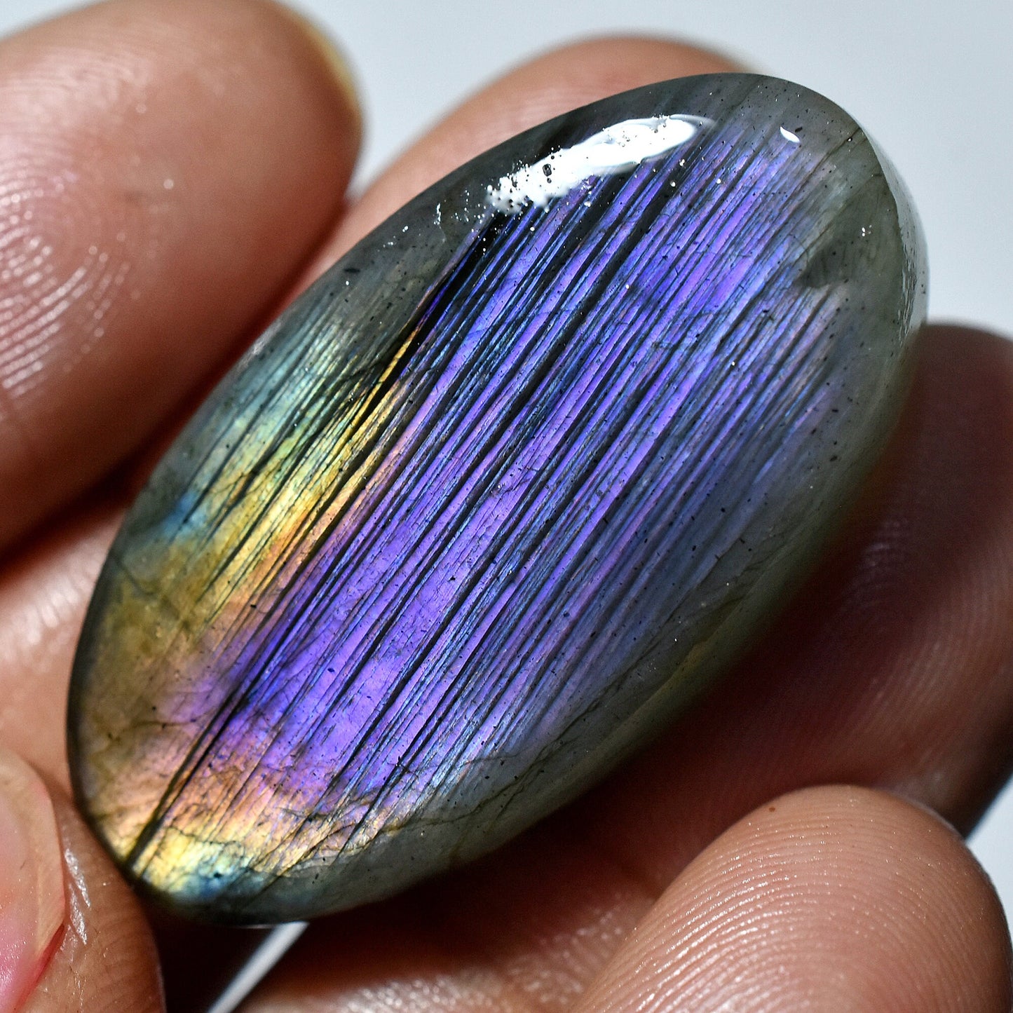 Purple Fire Labradorite Cabochon - Flashy Mixed Shape Healing Crystal Gemstone