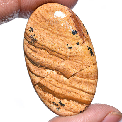 Picture Jasper Cabochon – Oval & Pear-Shaped Brown Jasper