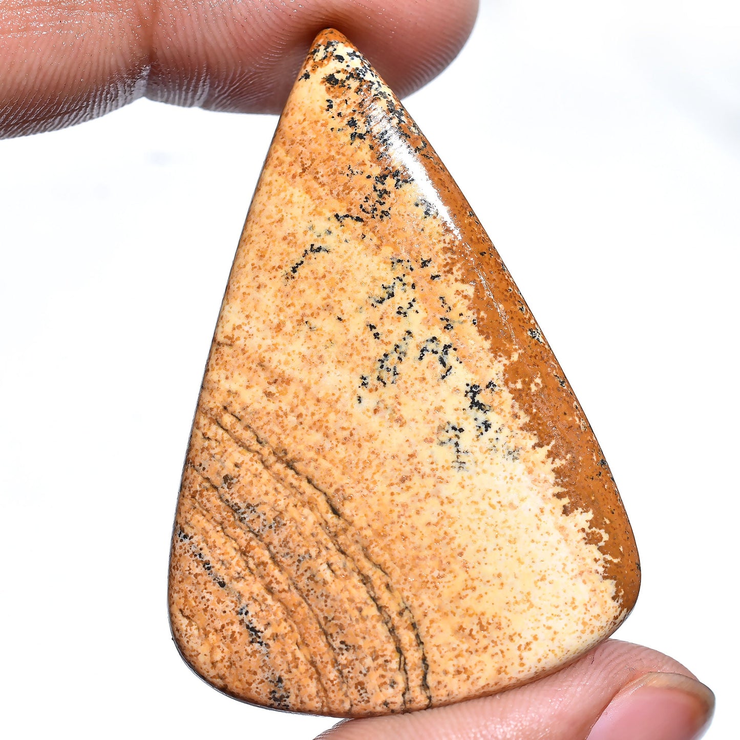 Picture Jasper Cabochon – Oval & Pear-Shaped Brown Jasper