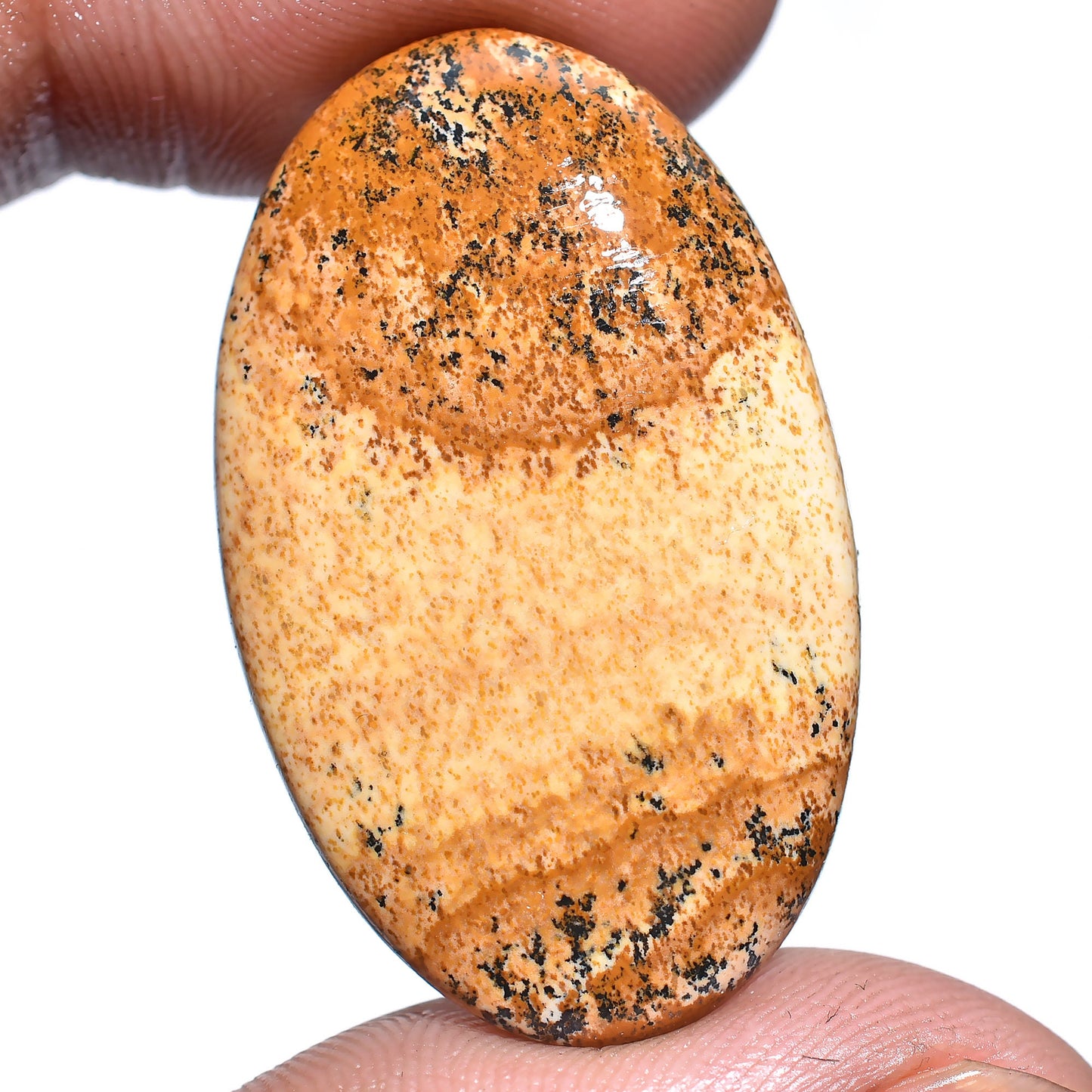 Picture Jasper Cabochon – Oval & Pear-Shaped Brown Jasper