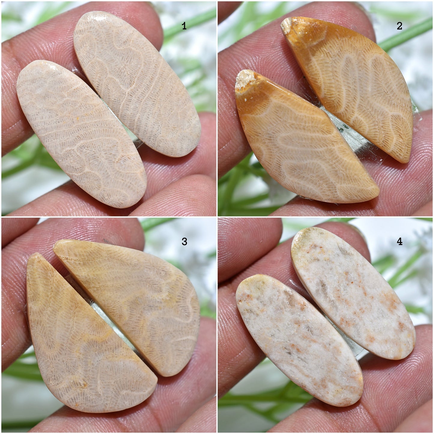 100% Natural Fossil Coral Gemstone Pair, Mixed Shape Fossil Cabochon Pair