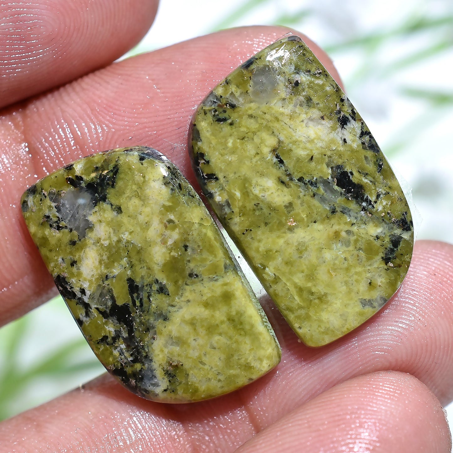 Unakite Cabochon Pair - Natural Matching Stones for Earring Making