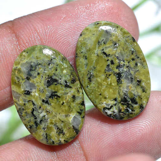 Handpicked Unakite Gemstone Pair – Rectangle & Oval Loose Cabochons for Earrings