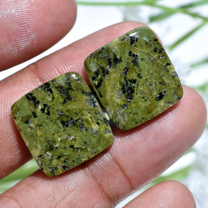 Top Grade Natural Unakite Jasper Stone - Rectangle & Square Shape Pair for Earrings