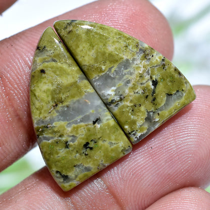 Top Quality Unakite Jasper Stone - Smooth Green Jasper Mix Shape Pair for Earrings