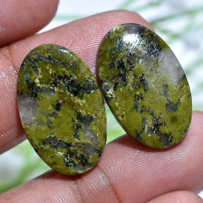 Top Quality Unakite Jasper Stone - Smooth Green Jasper Mix Shape Pair for Earrings