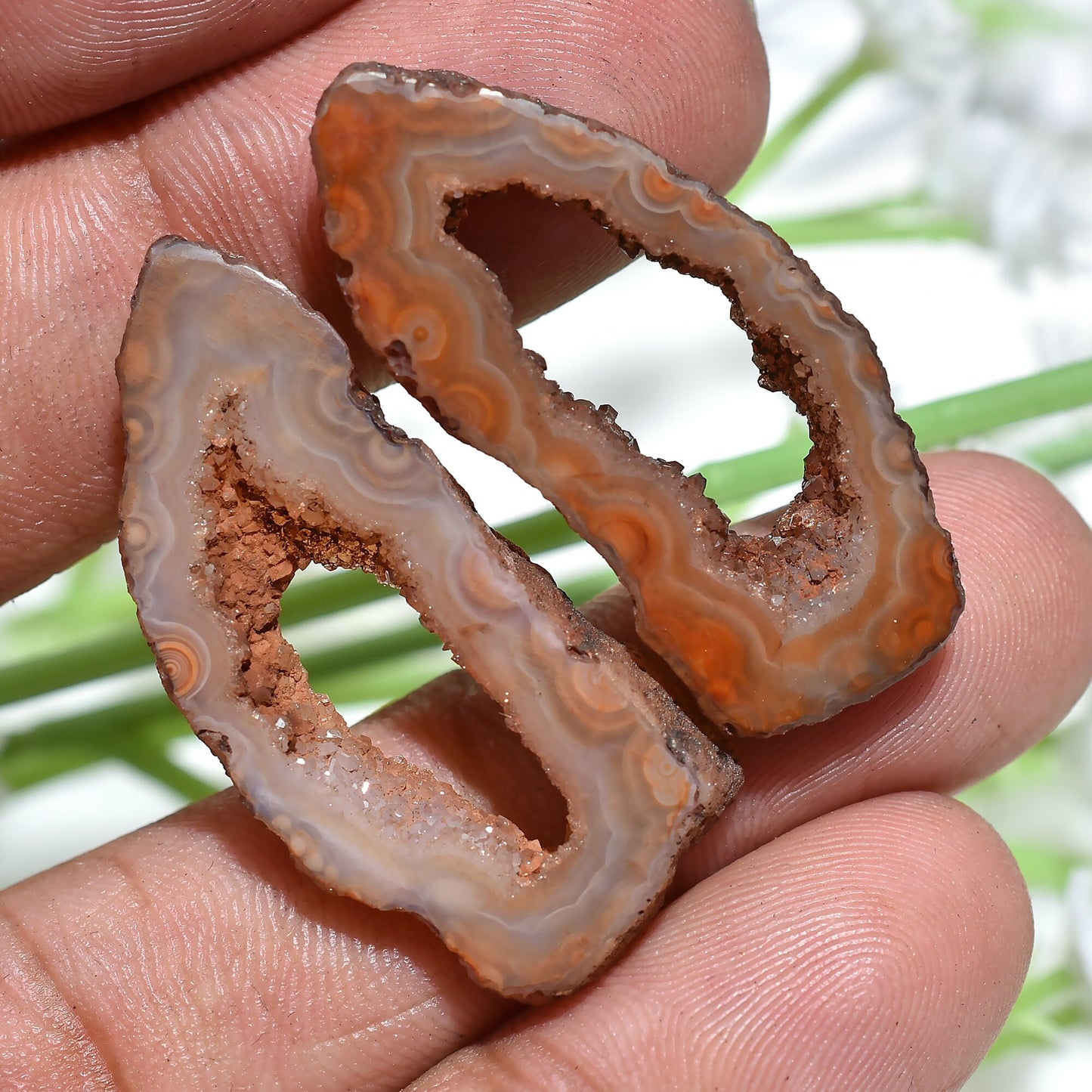 Unique Brown Window Druzy Geode Pair – Fancy Agate Druzy Pair for Handmade Jewelry & Earrings