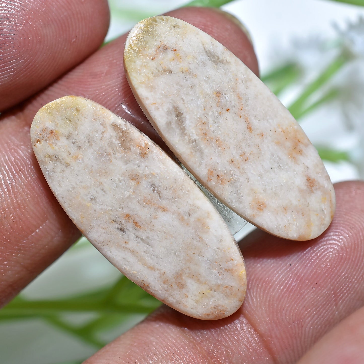 100% Natural Fossil Coral Gemstone Pair, Mixed Shape Fossil Cabochon Pair